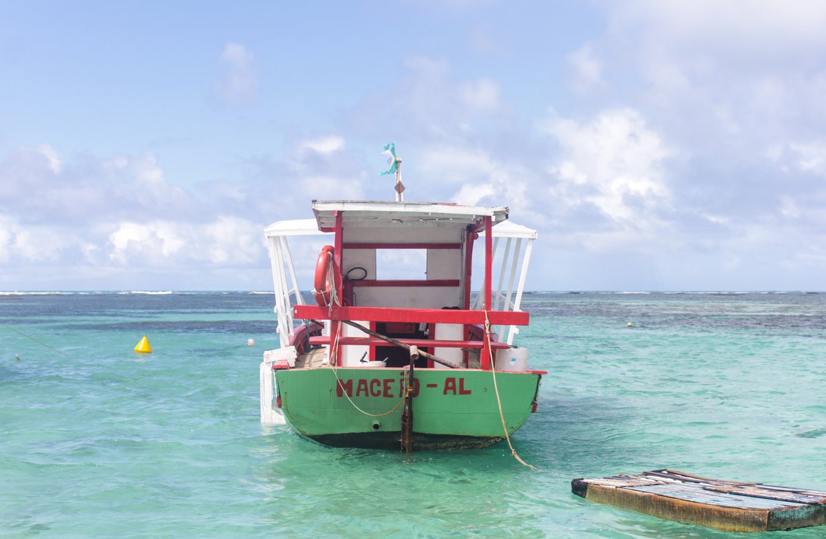 Praia de Maragogi com coqueiros e areia branca
