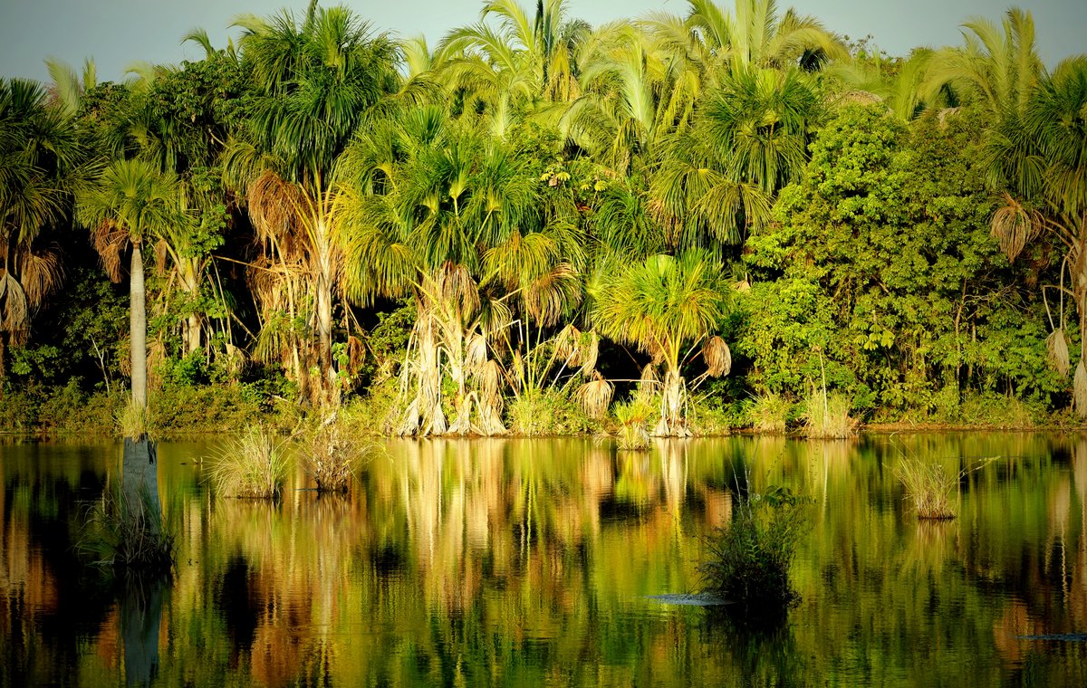 Lagoa das Araras em Bom Jardim, distrito de Nobres, Mato Grosso